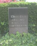 Ellen Gori.jpg
